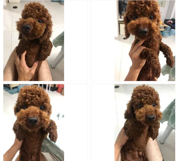捕获.JPG